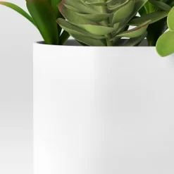 Succulent Arrangement In Long White Pot - Room Essentials™ -Target GUEST 1ef8d600 62b7 4beb b392 f457dc2a454d