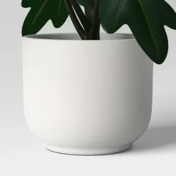 Core Plant Multipack In White Pot - Room Essentials™ -Target GUEST 23f0793d e482 4654 8d9f f43140e8c4d5