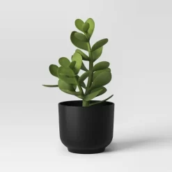 Succulent Artificial In Black Pot - Room Essentials™ -Target GUEST 39c4aa68 47f1 486e 8e41 5902428fe6c1