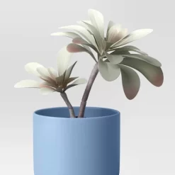 3pk 8.86" Succulent Artificial Plants Multicolor - Room Essentials™ -Target GUEST 713a3c74 4a66 4731 bccf 7c13c81b2f01