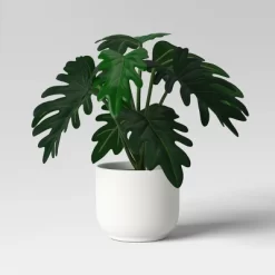 Core Plant Multipack In White Pot - Room Essentials™ -Target GUEST 87daa1fd 2e72 41a8 be61 554c95f53ec4
