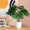 8"x9" Monstera Artificial Plant - Room Essentials™