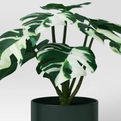 3pk 7.87" Monstera Artificial Plants - Room Essentials™ -Target GUEST b353e242 fcb5 4c4c affc ddf91298a192