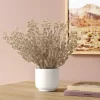 Tan Grass Mini Arrangement - Room Essentials™