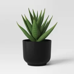 Succulent Artificial In Black Pot - Room Essentials™ -Target GUEST c7ed3c07 877b 46f8 9f0f 6652f4efa560
