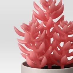 3pk 8.86" Succulent Artificial Plants Multicolor - Room Essentials™ -Target GUEST cfa72693 81b2 4c35 87ab 78b388b04202