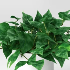 Pothos Potted Artificial Plant - Room Essentials™ -Target GUEST f29d1dd8 f76c 444f 8a3d 148d5b7040a2